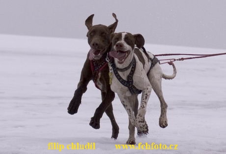 Hustopece 06 - 132a.jpg